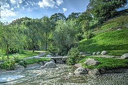 花園,巖,水