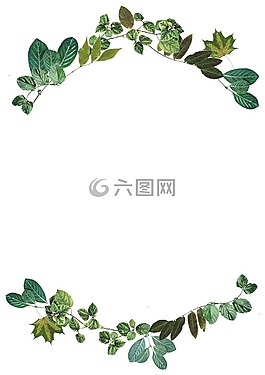 葉子,邊境,自然