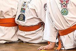 空手道,武術,運動