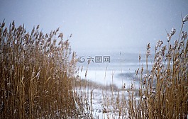 雪,海灘,水