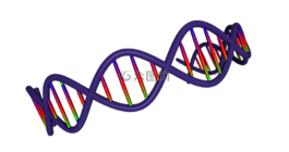 dna,3d,醫療