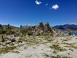 單聲道,湖,加利福尼亞州