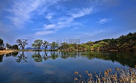 没拐,大韩民国,如果酸