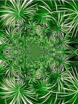 植物群,纏繞,分形