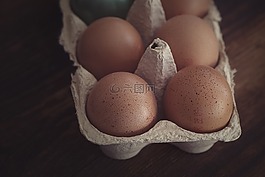 蛋,雞雞蛋,蛋盒