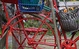 自行車,老,紅色
