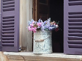 花,德卡,窗口