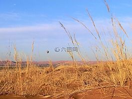 納米比亞,沙漠,納米布
