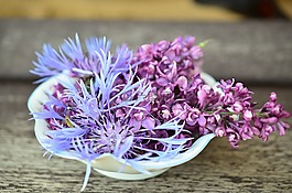 鮮花,花缽,大廳