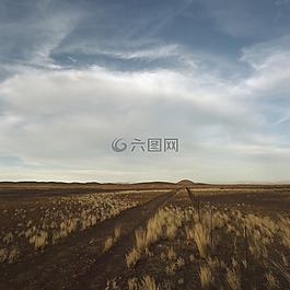 景觀,戶外,原野