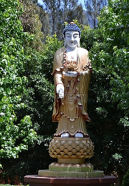 佛,佛教,宗教