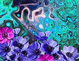 夏季,?？?開花