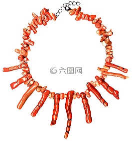 珊瑚,化石,項(xiàng)鏈