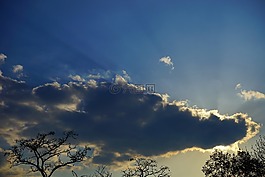 陽光,云,傍晚的天空