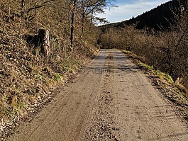 路,性質(zhì),離