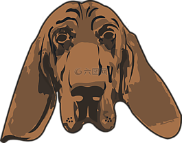 狗,血獵犬,犯罪