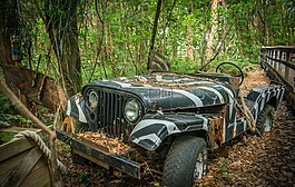吉普車,老,冒險