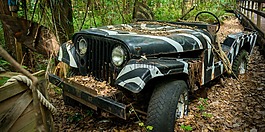 吉普車,老,冒險