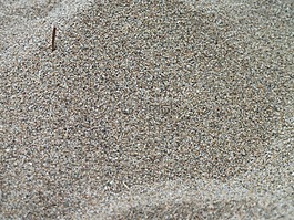 沙,海灘,紋理