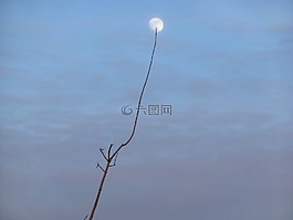 月亮,早午餐,黄昏