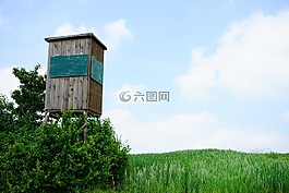 猎人,猎人座,河鲈