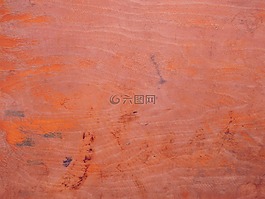 木,背景,結(jié)構(gòu)