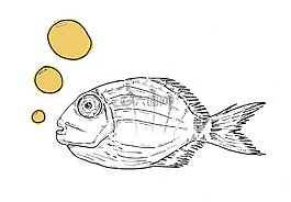魚,海,捕魚