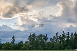 云,景觀,樹