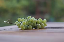 葡萄,水果,白