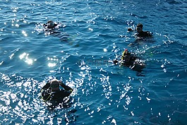潛水員,海洋,藍(lán)色