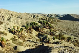 coachella 山谷,加利福尼亞州,景觀