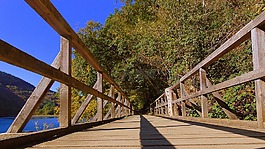 橋,heimbach,秋季