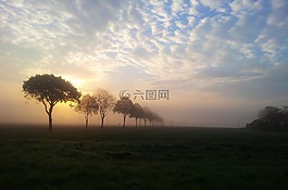 黎明,日出,景觀