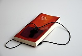 圣經(jīng) 》,書,祈禱