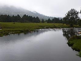 溪,谷,薄霧