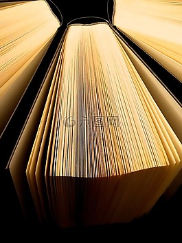 本書,讀取,教育