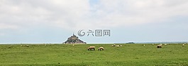 梅多斯,羊,諾曼底