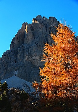 山,白云巖,秋