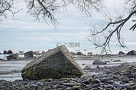 海洋,平静,海