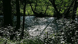 河,幾點(diǎn)思考,光