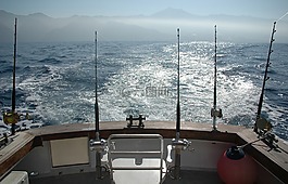 桿,海洋,釣魚