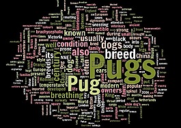 帕格,wordcloud,单词