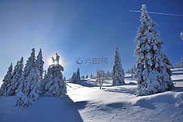 雪,天空,樹(shù)