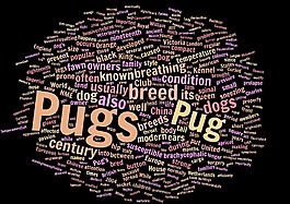 八哥,wordcloud,動物