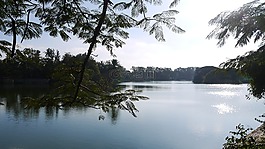 班加羅爾,湖,冬天