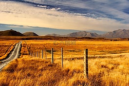 景觀,山,字段