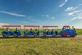 玉米,火車,騎