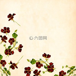 花,背景,釀酒