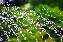 水,噴泉,自然