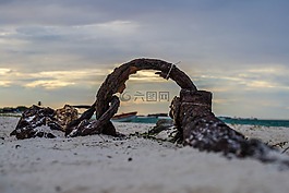 海,人体内的水,性质